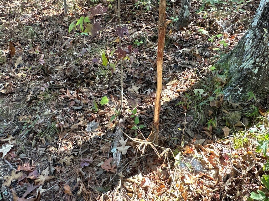 Prior Station Road, Cedartown, Georgia image 7