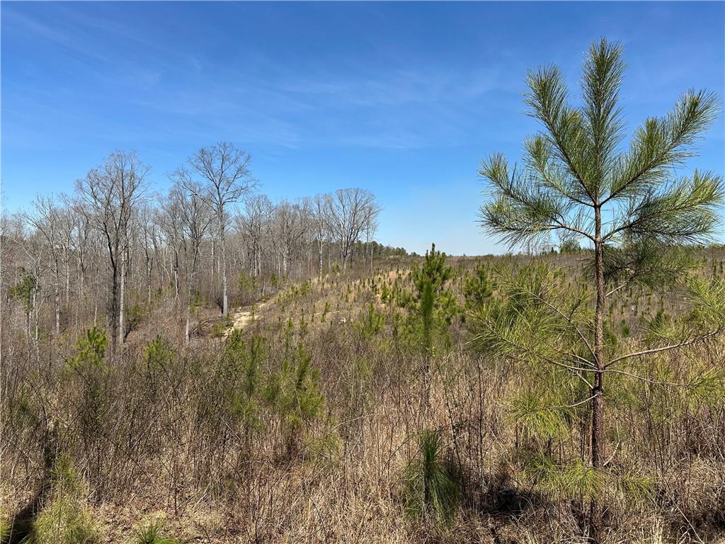 Prior Station Road, Cedartown, Georgia image 17