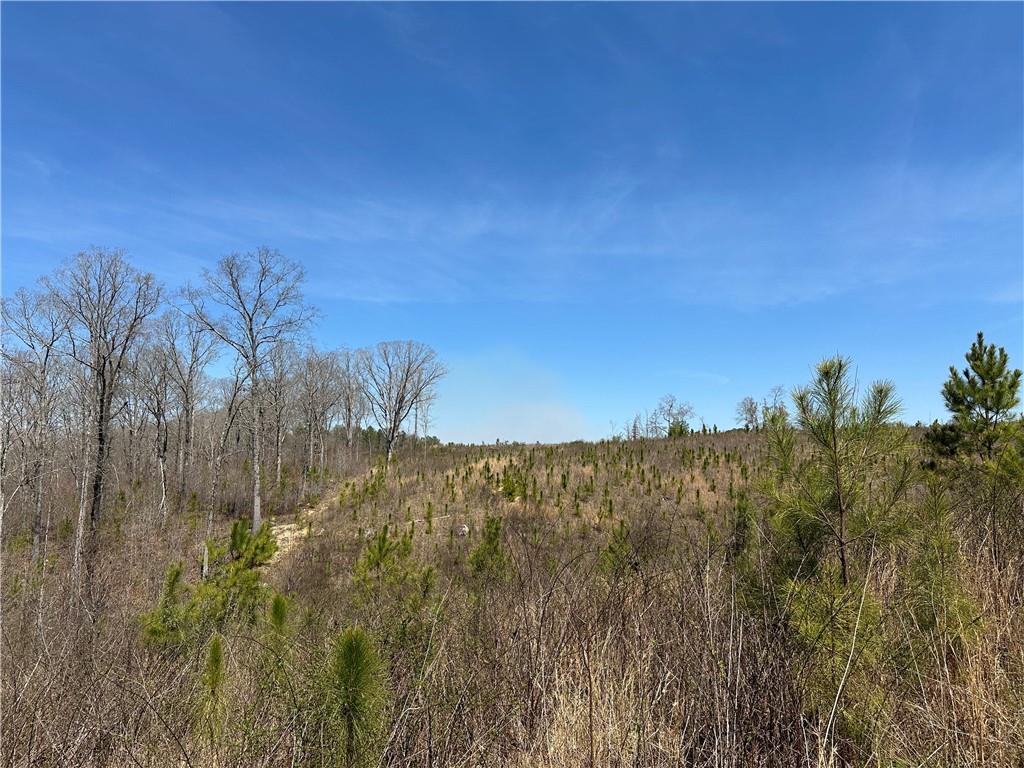 Prior Station Road, Cedartown, Georgia image 14