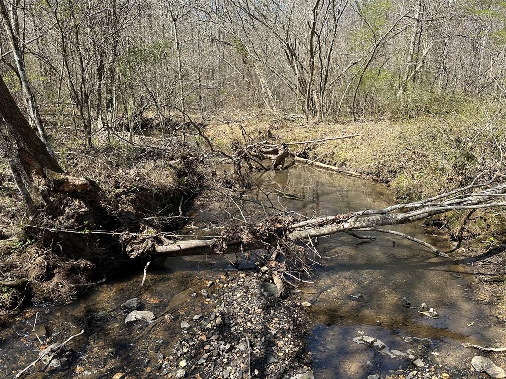 Prior Station Road, Cedartown, Georgia image 47