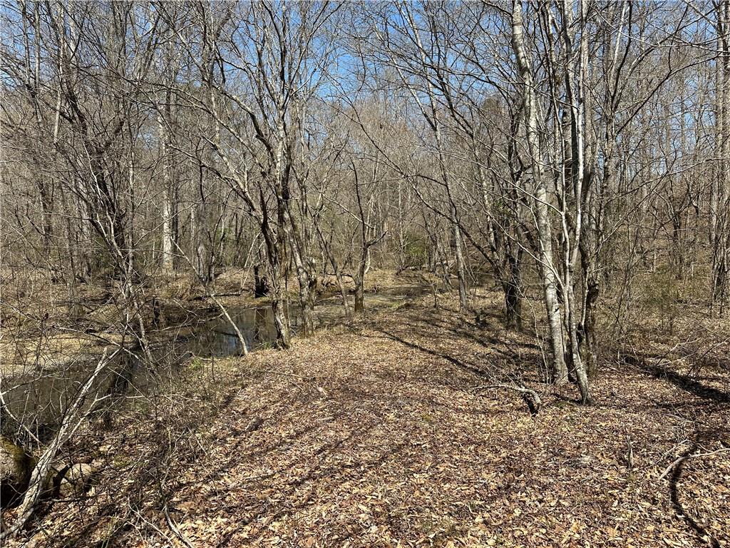 Prior Station Road, Cedartown, Georgia image 36