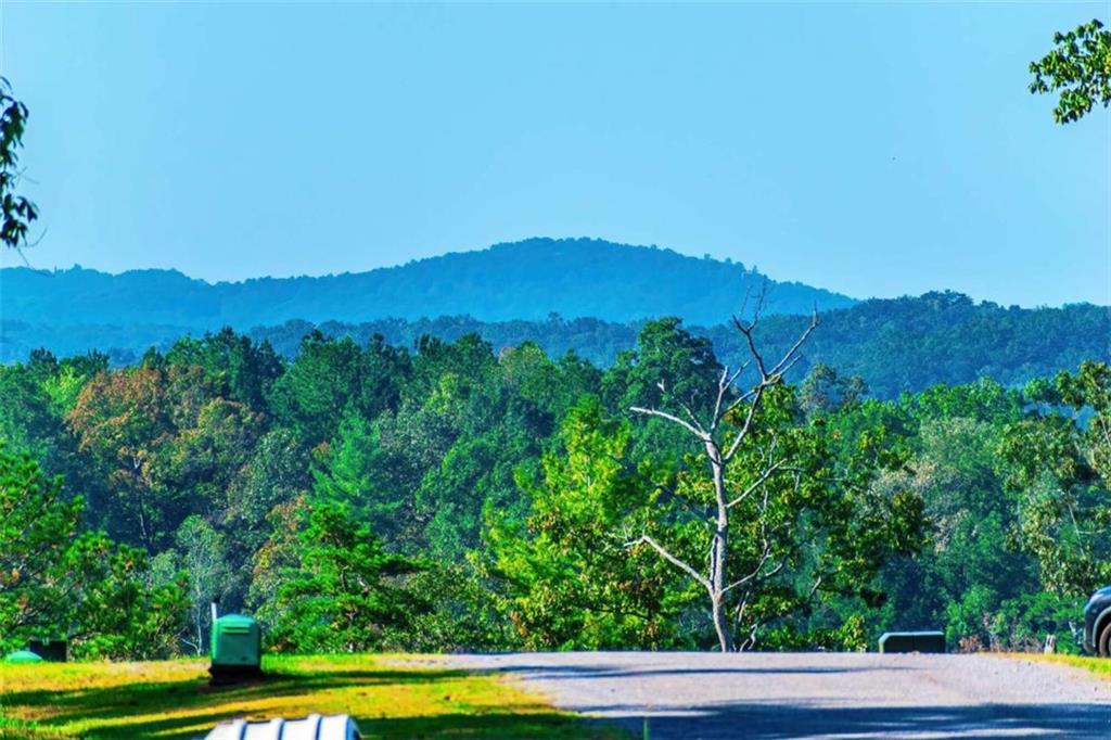 LOT 50 Jakes Landing Way, Ellijay, Georgia image 14