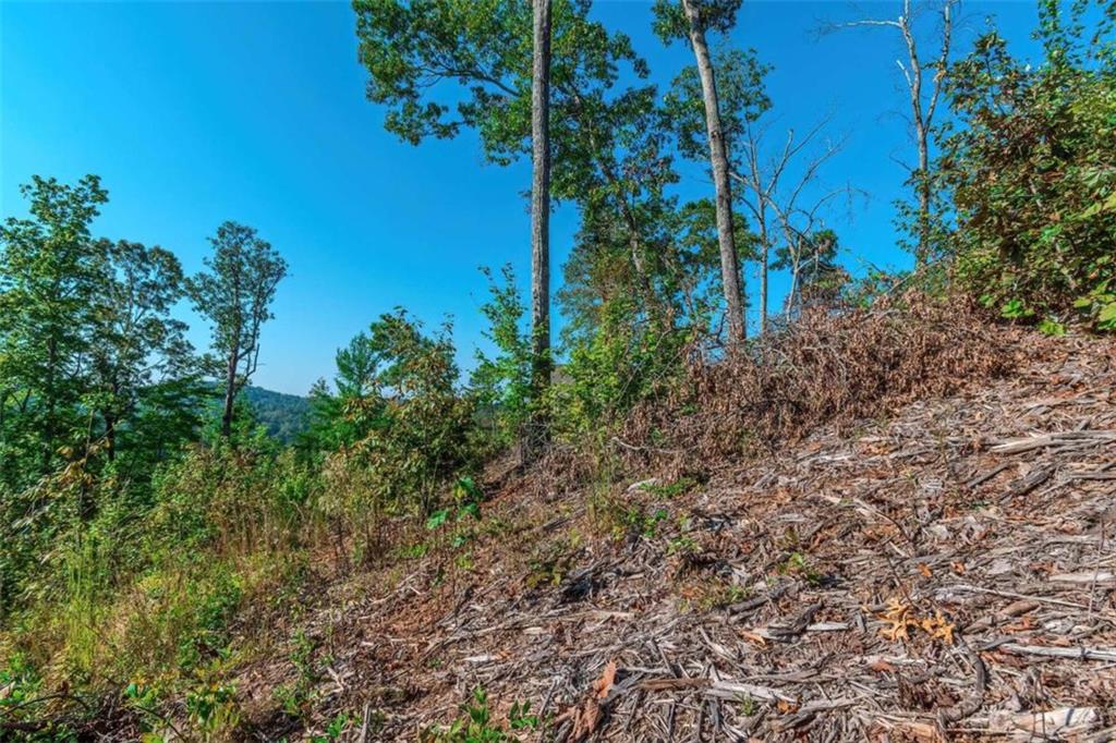 LOT 50 Jakes Landing Way, Ellijay, Georgia image 30