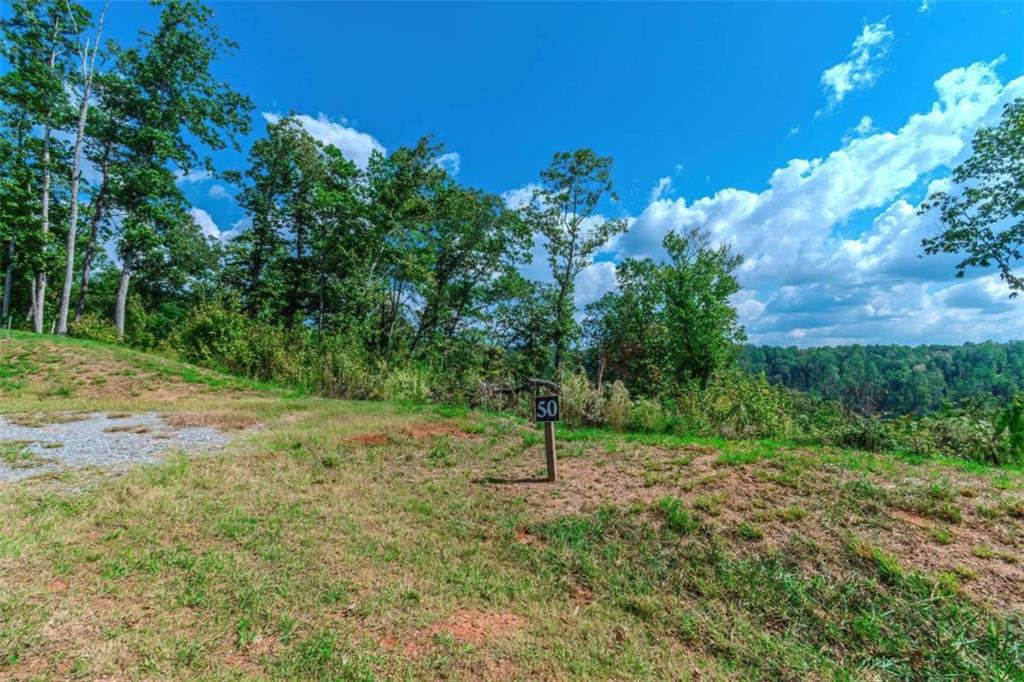 LOT 50 Jakes Landing Way, Ellijay, Georgia image 25