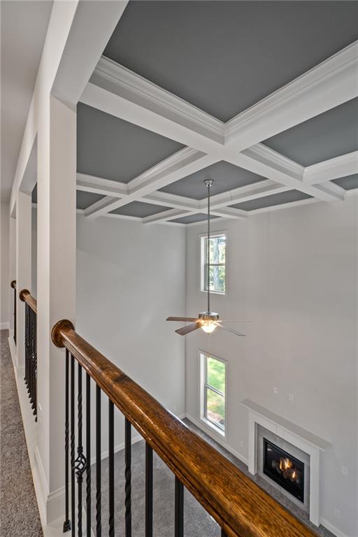 255 Lotus Lane, Covington, Georgia image 22