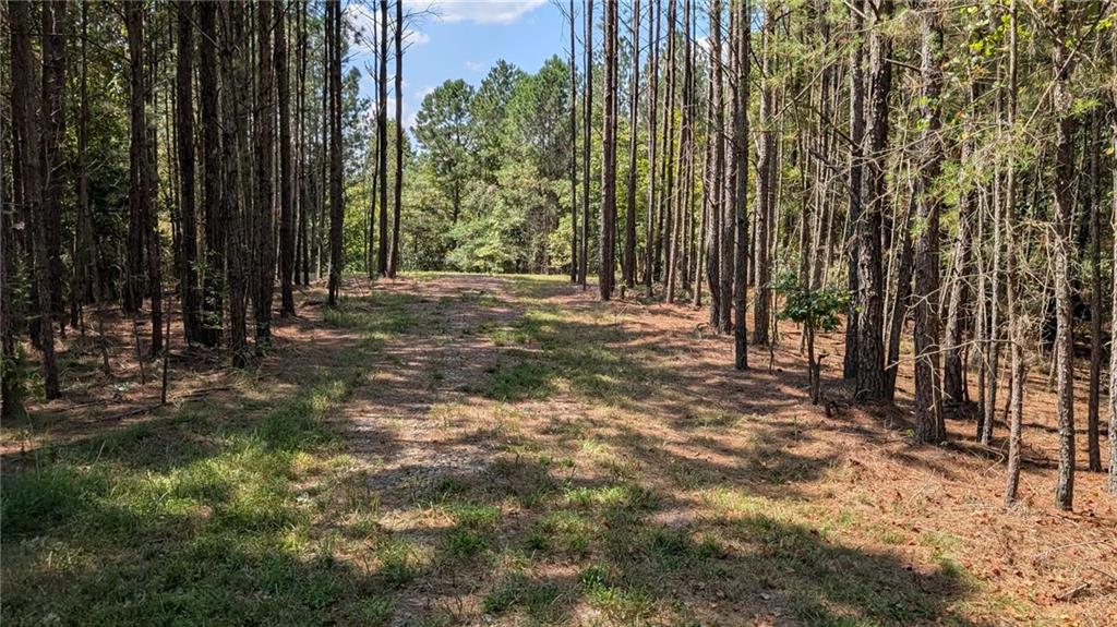 Photo of 1150 Ballard Rd Rd, Ball Ground, GA 30107 (MLS # 7840950)