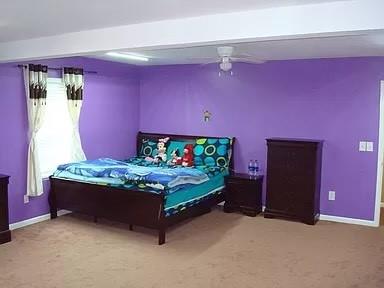 1293 Sammons Street, Damascus, Georgia image 6