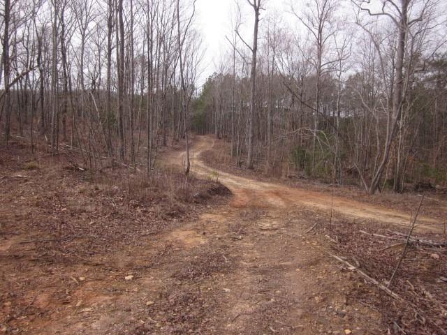 Bear Creek Road, Talking Rock, Georgia image 39