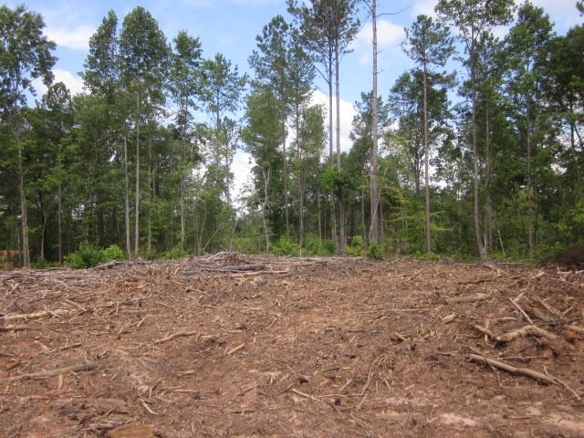 Bear Creek Road, Talking Rock, Georgia image 36