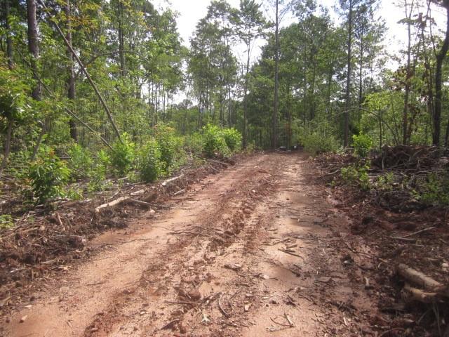 Bear Creek Road, Talking Rock, Georgia image 16