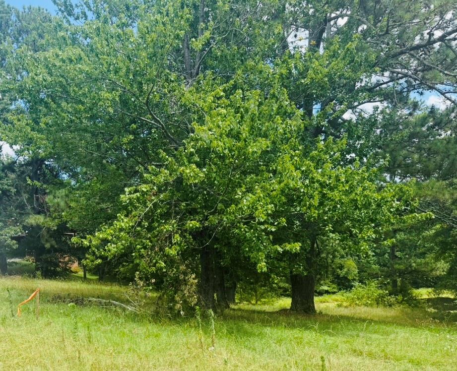 3283 N Bogan Road