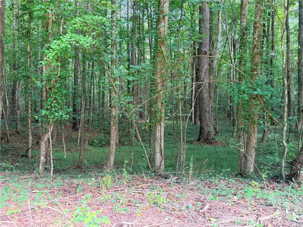 Lot 20 Henderson Mountain Road
