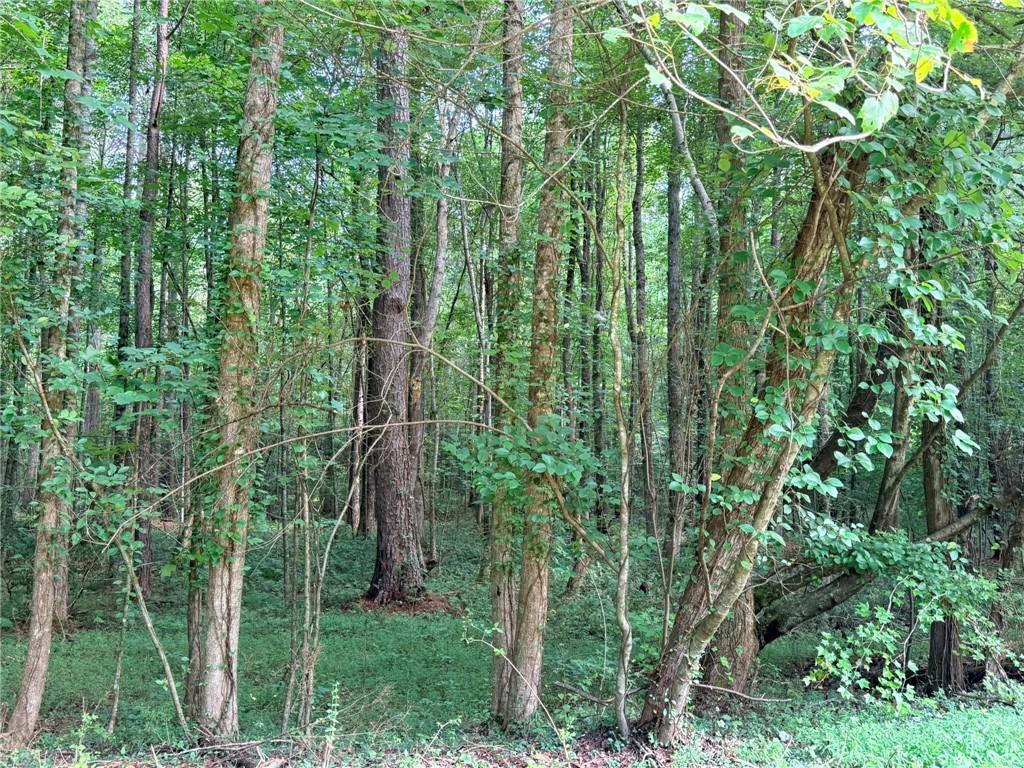 Lot 20 Henderson Mountain Road