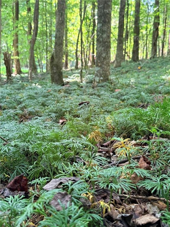 Lot 20 Henderson Mountain Road