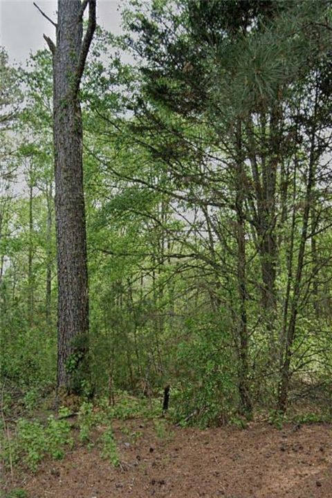 Vacant Land For Sale - 3023 Valley View Drive<br/> Powder Springs, GA 30127