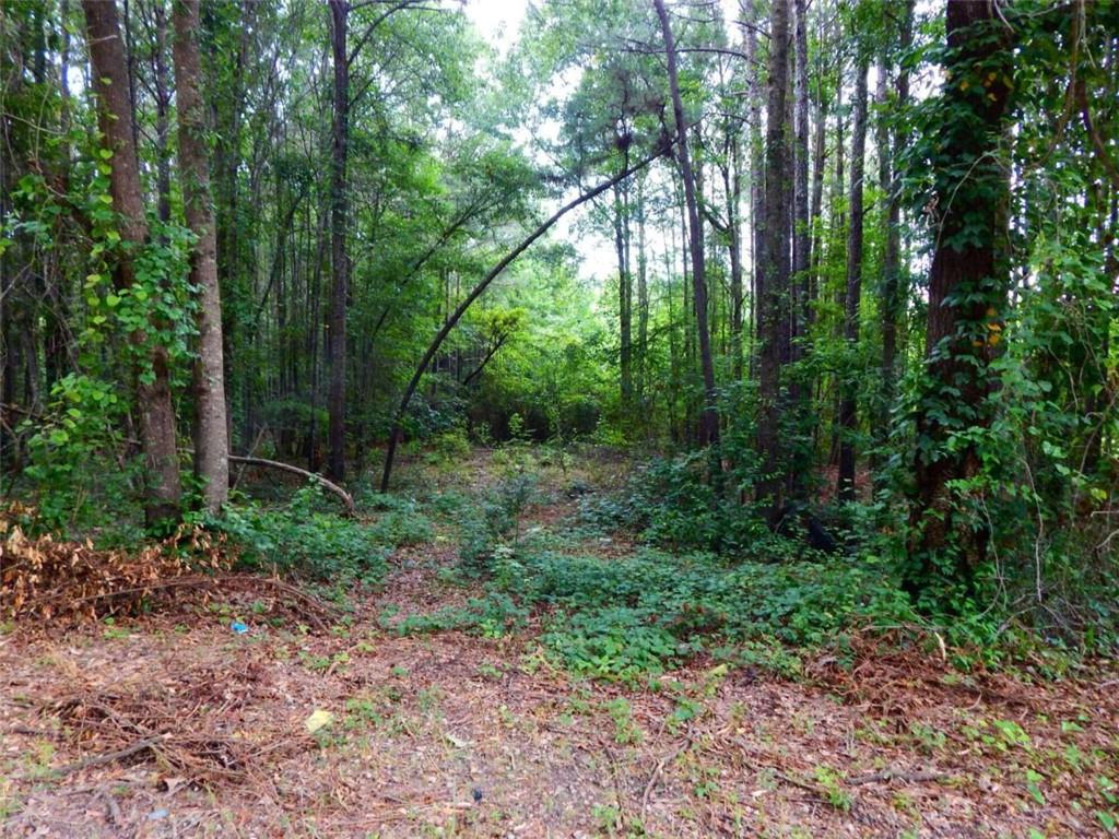 A wonderful opportunity to own 3.01 acres of prime land in Griffin with no HOA. Come bring your builder and get started building your dream home.