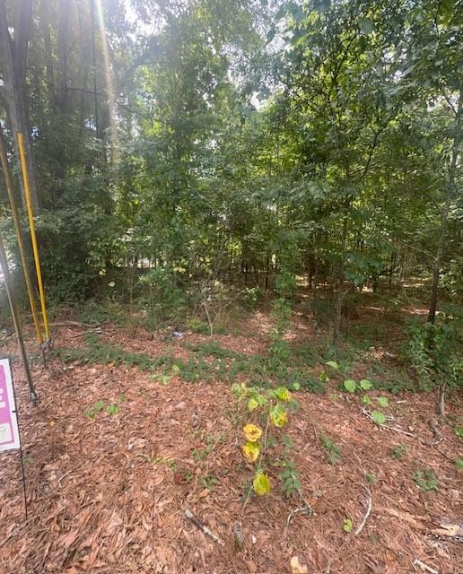 4165 Flat Shoals Road, Union City, Georgia image 7