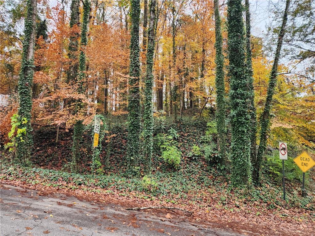 Gardenia Drive, Atlanta, Georgia image 2