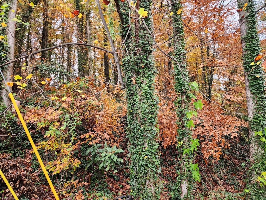 Gardenia Drive, Atlanta, Georgia image 3