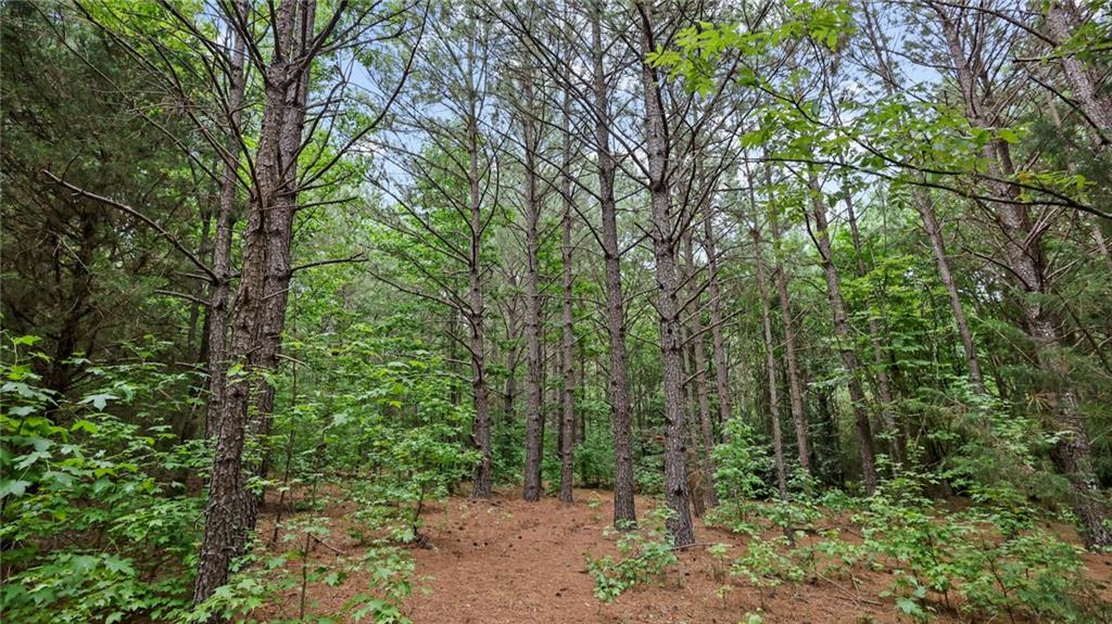 High Meadow Trail, Jenkinsburg, Georgia image 27