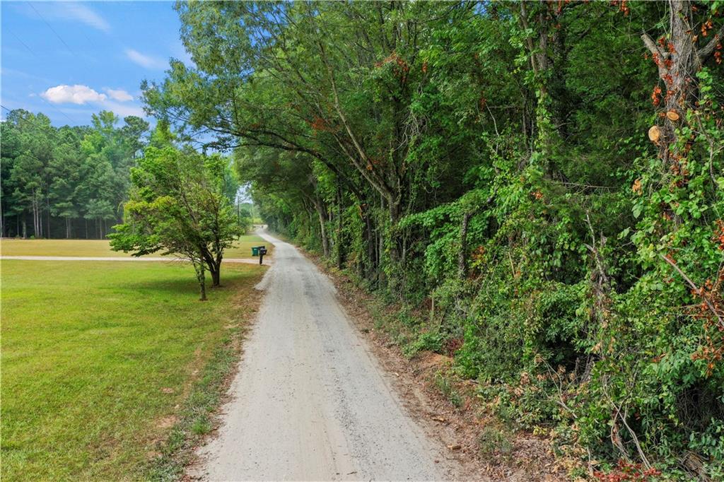 High Meadow Trail, Jenkinsburg, Georgia image 15