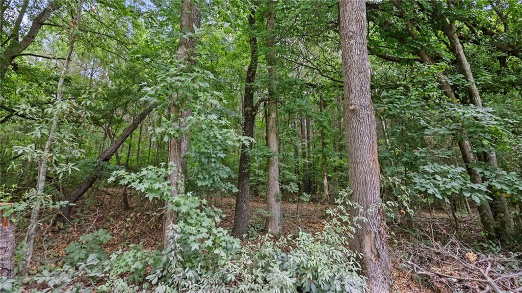 High Meadow Trail, Jenkinsburg, Georgia image 31