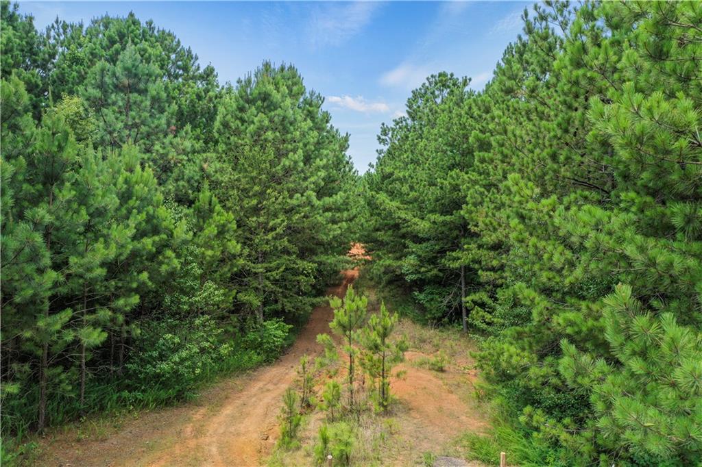 High Meadow Trail, Jenkinsburg, Georgia image 20