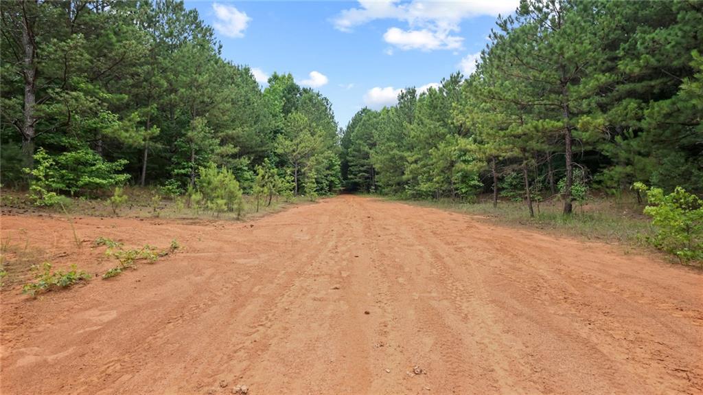 High Meadow Trail, Jenkinsburg, Georgia image 30