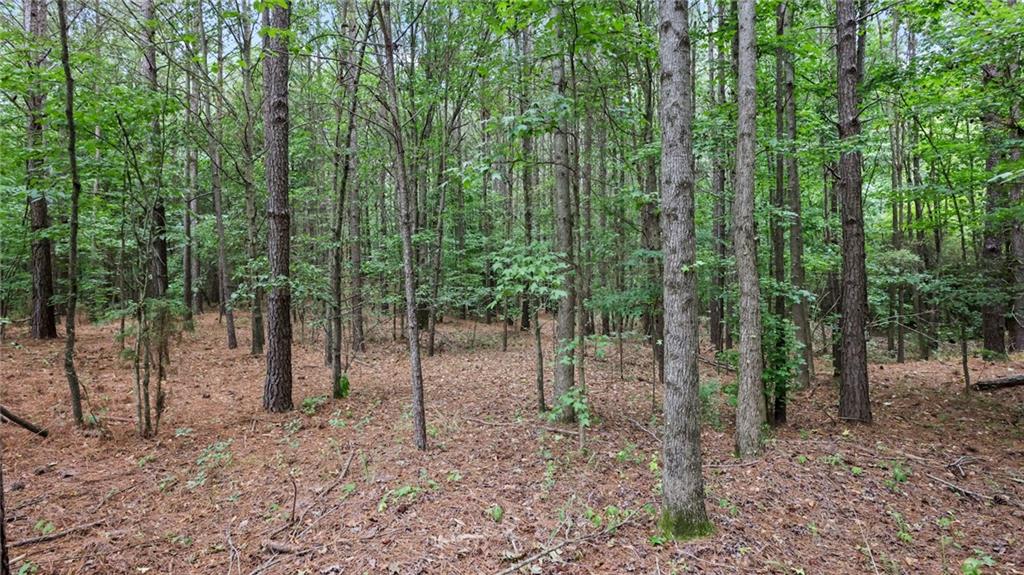 High Meadow Trail, Jenkinsburg, Georgia image 23