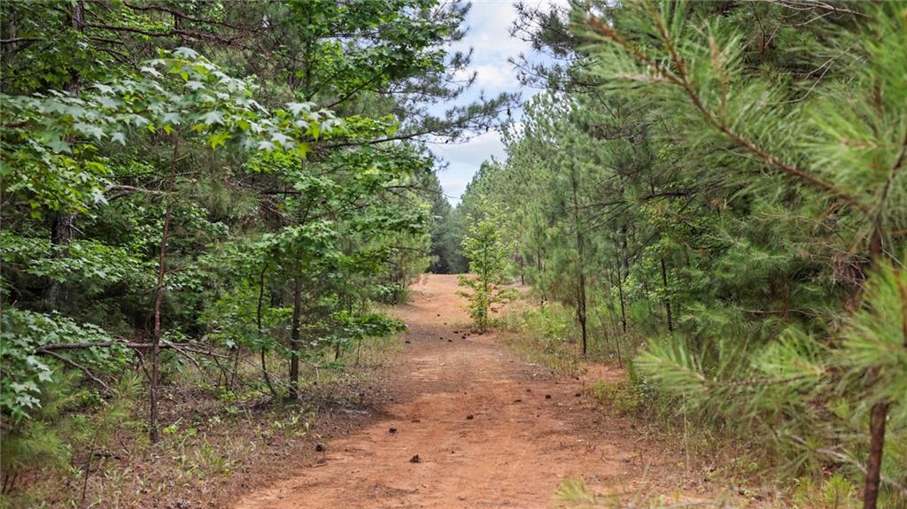 High Meadow Trail, Jenkinsburg, Georgia image 26