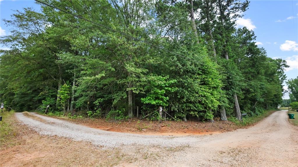 High Meadow Trail, Jenkinsburg, Georgia image 17