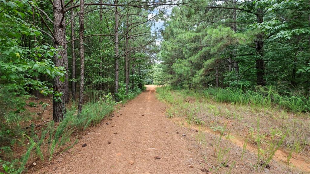 High Meadow Trail, Jenkinsburg, Georgia image 29