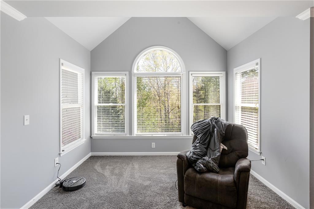 271 Ivy Hall Lane, Dallas, Georgia image 34