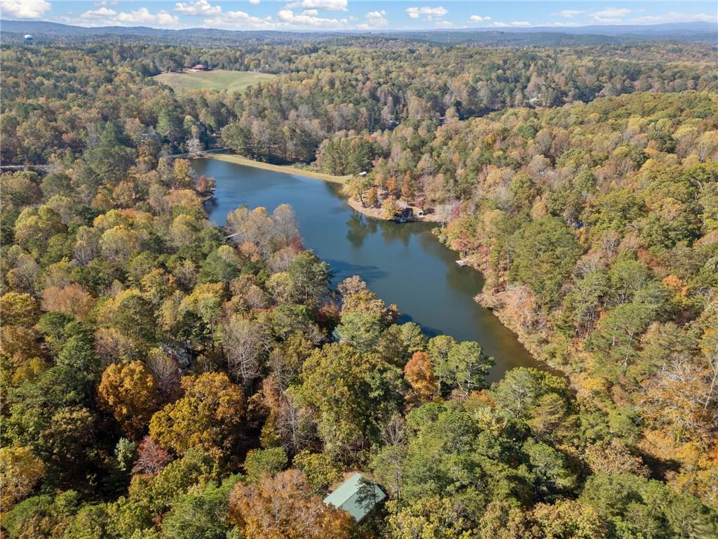 822 Twin Mountain Lake Circle, Talking Rock, Georgia image 18