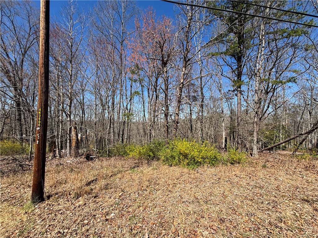 3711 Cagle Road, Gainesville, Georgia image 3