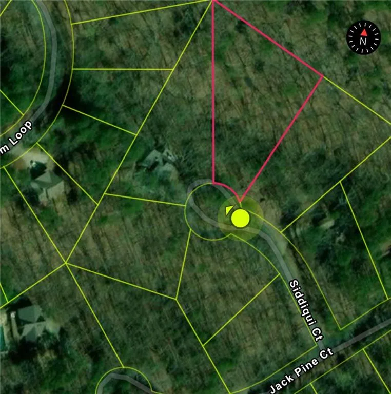 Waleska, Georgia 30183, United States, ,Land,Active,197230