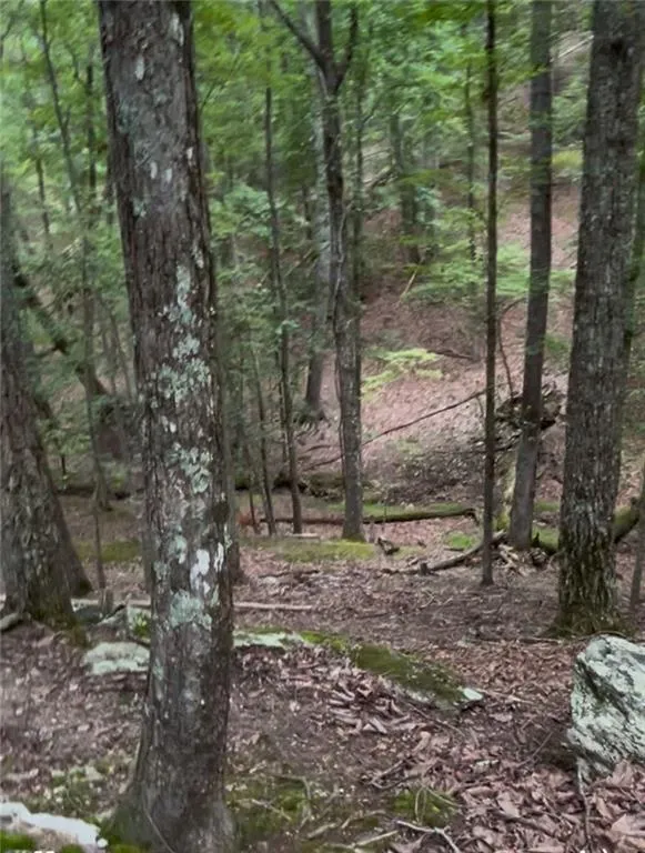 Waleska, Georgia 30183, United States, ,Land,Active,197230