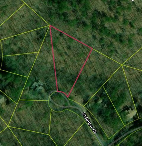 Vacant Land For Sale - 110 Siddiqui Court<br/> Waleska, GA 30183