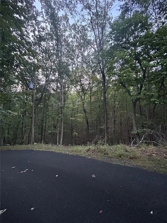 Waleska, Georgia 30183, United States, ,Land,Active,197230