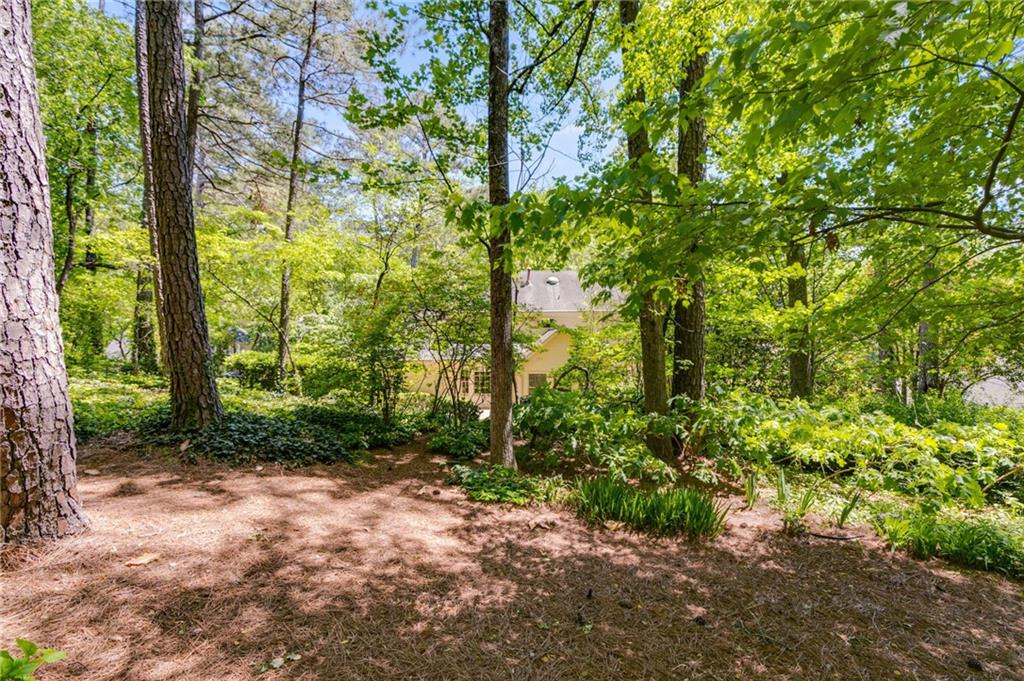 3573 Turtle Cove Court, Marietta, Georgia image 42