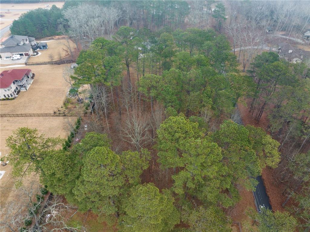 2859 Hammond Road, Stockbridge, Georgia image 39