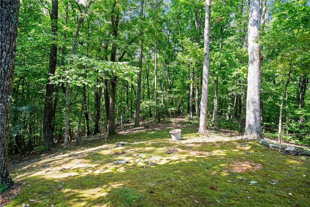 131 Outback Road, Jasper, Georgia image 36