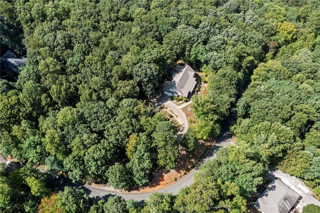131 Outback Road, Jasper, Georgia image 40