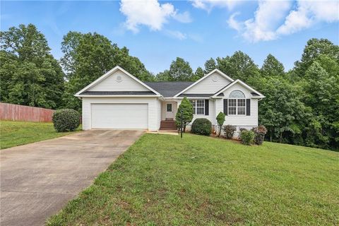 199 Rocky Shoals Trail Mount Airy GA 30563