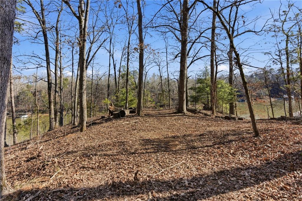 Gainesville, Georgia, 30506, United States, 4 Bedrooms Bedrooms, ,7 BathroomsBathrooms,Residential,Active,2018687