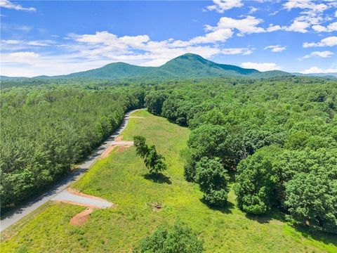 Vacant Land For Sale - Arthur Allen Road<br/> Cleveland, GA 30528