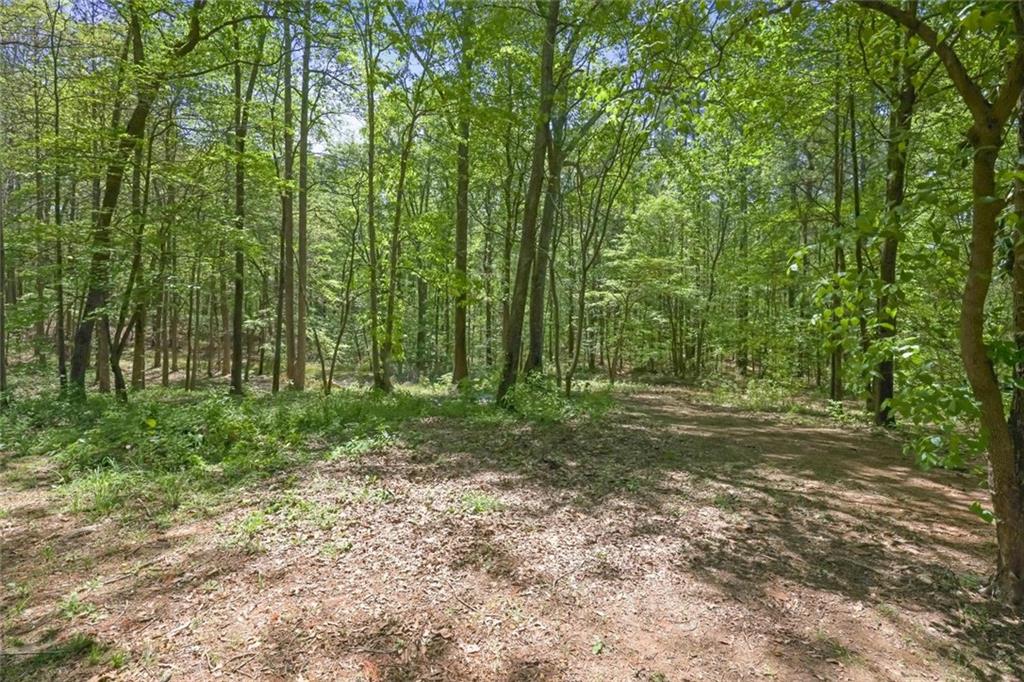 366 Overlook Trail, Dallas, Georgia image 30