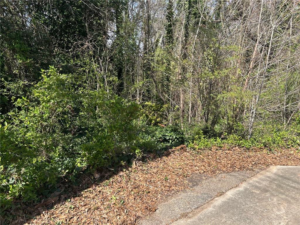 View of tree filled area