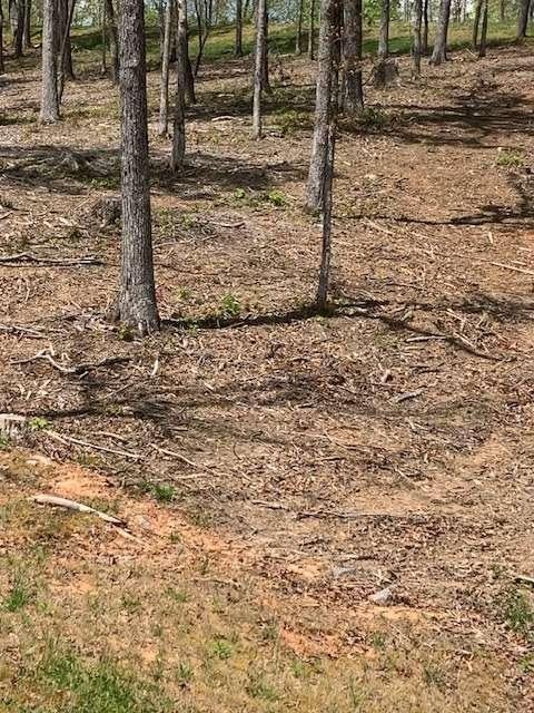 LOT #6 Lake Top
