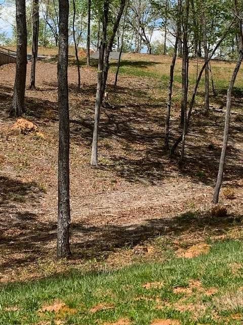 LOT #6 Lake Top